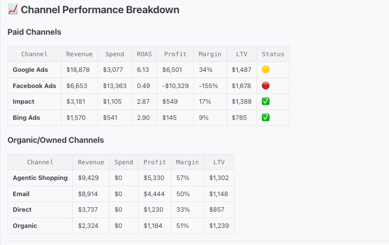 Channel performance breakdown table across paid and organic channels with ROAS and profit